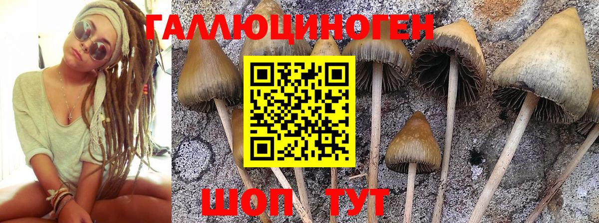 Псилоцибиновые грибы Magic Shrooms Междуреченск