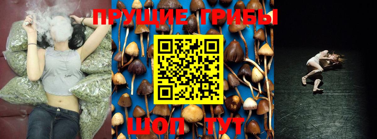 Галлюциногенные грибы мицелий  Вход с VPN  Междуреченск  Галлюциногенные грибы мухоморы 